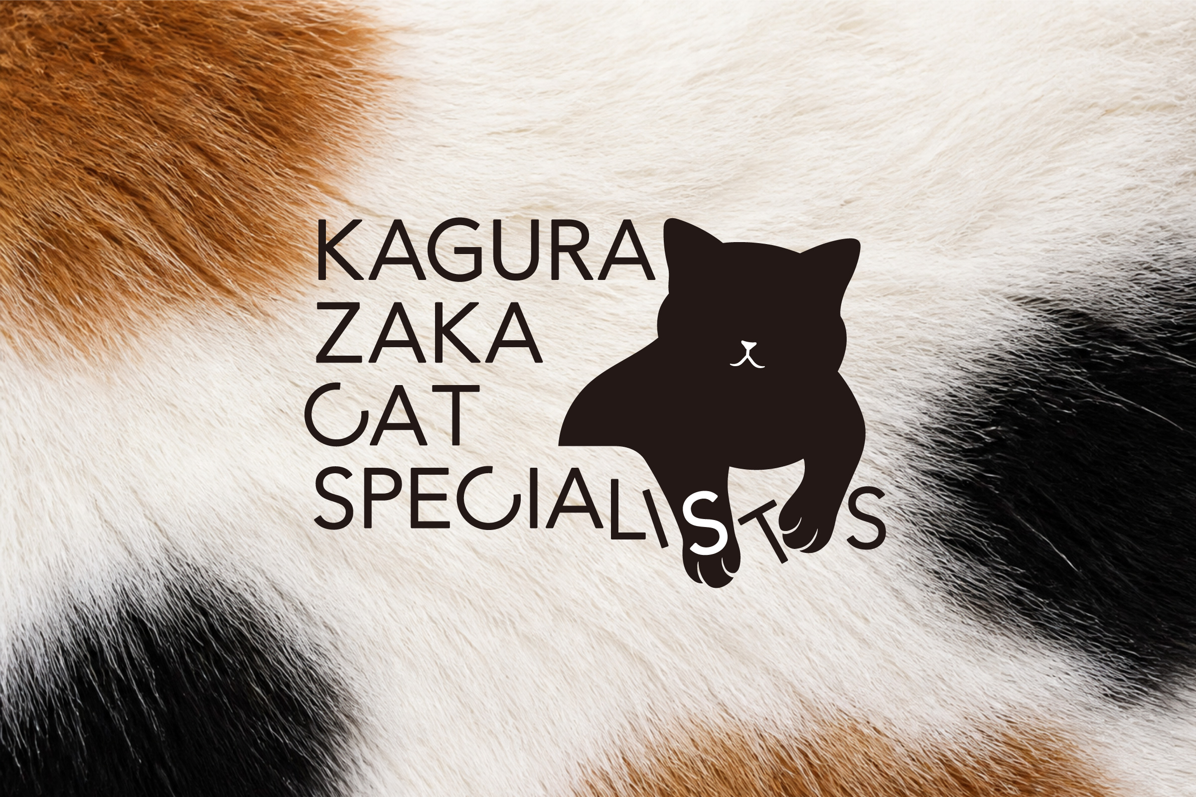 猫専門病院 神楽坂 Cat Specialists　ロゴデザイン ロゴ