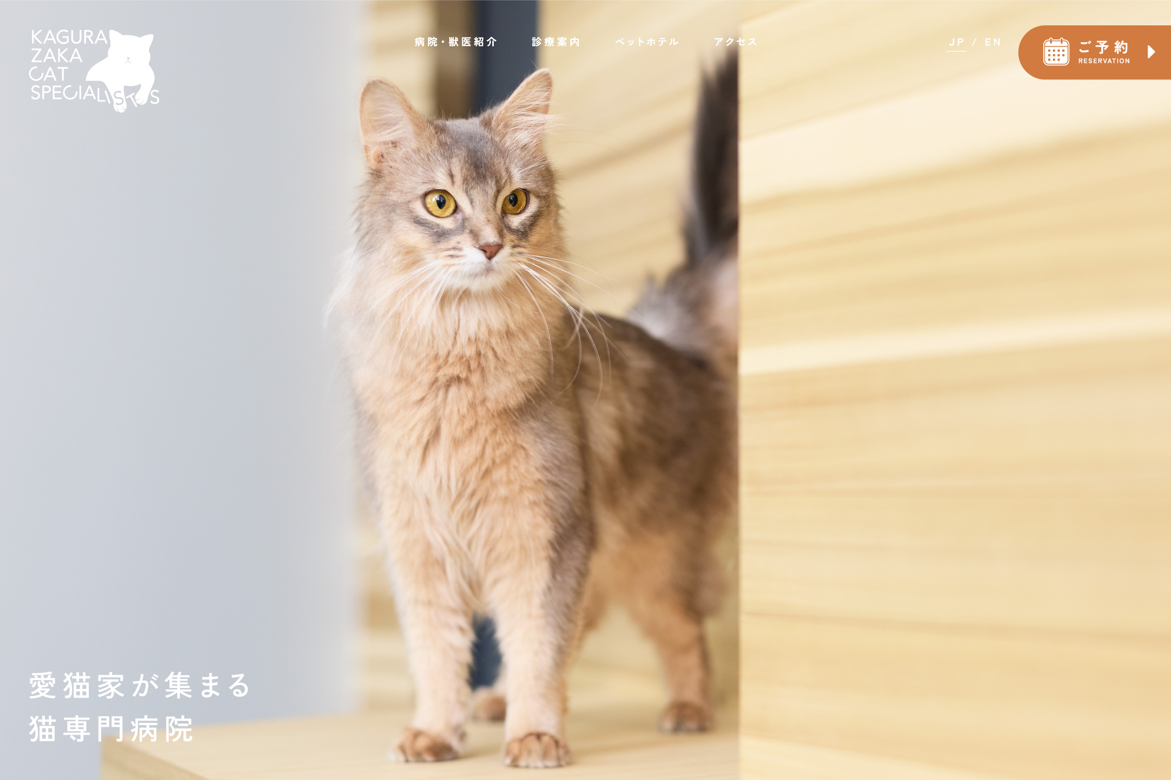 猫専門病院 神楽坂 Cat Specialists Webサイト