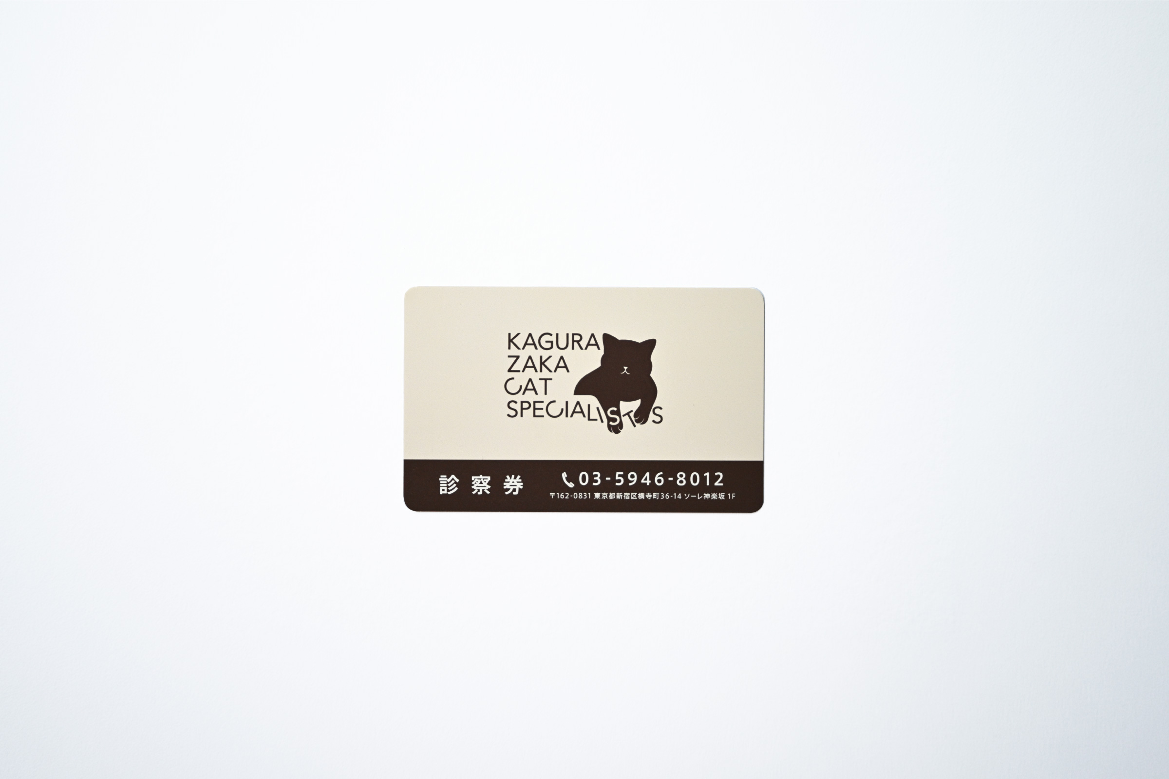 猫専門病院 神楽坂 Cat Specialists ブランディング