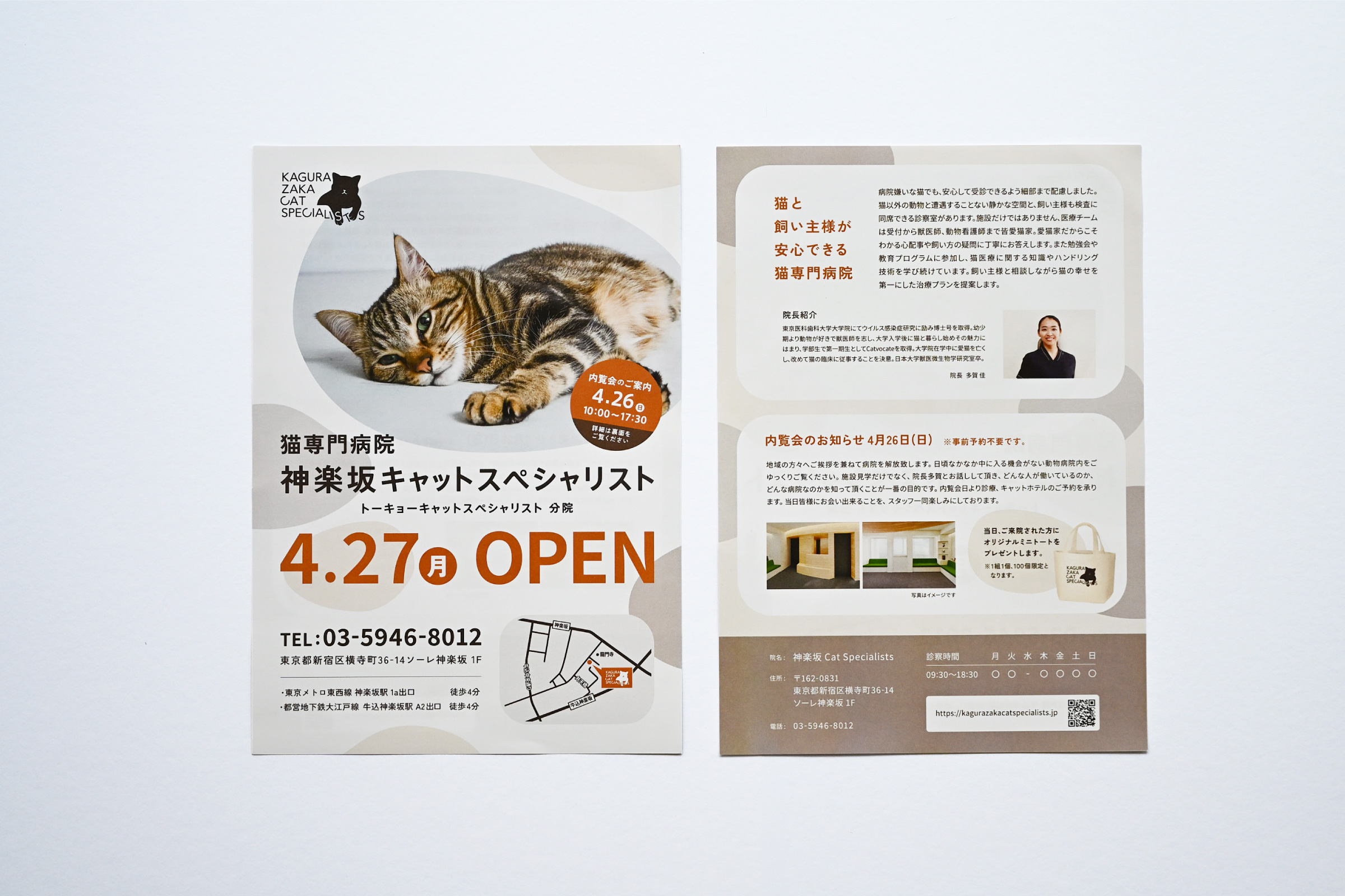 猫専門病院 神楽坂 Cat Specialists ブランディング
