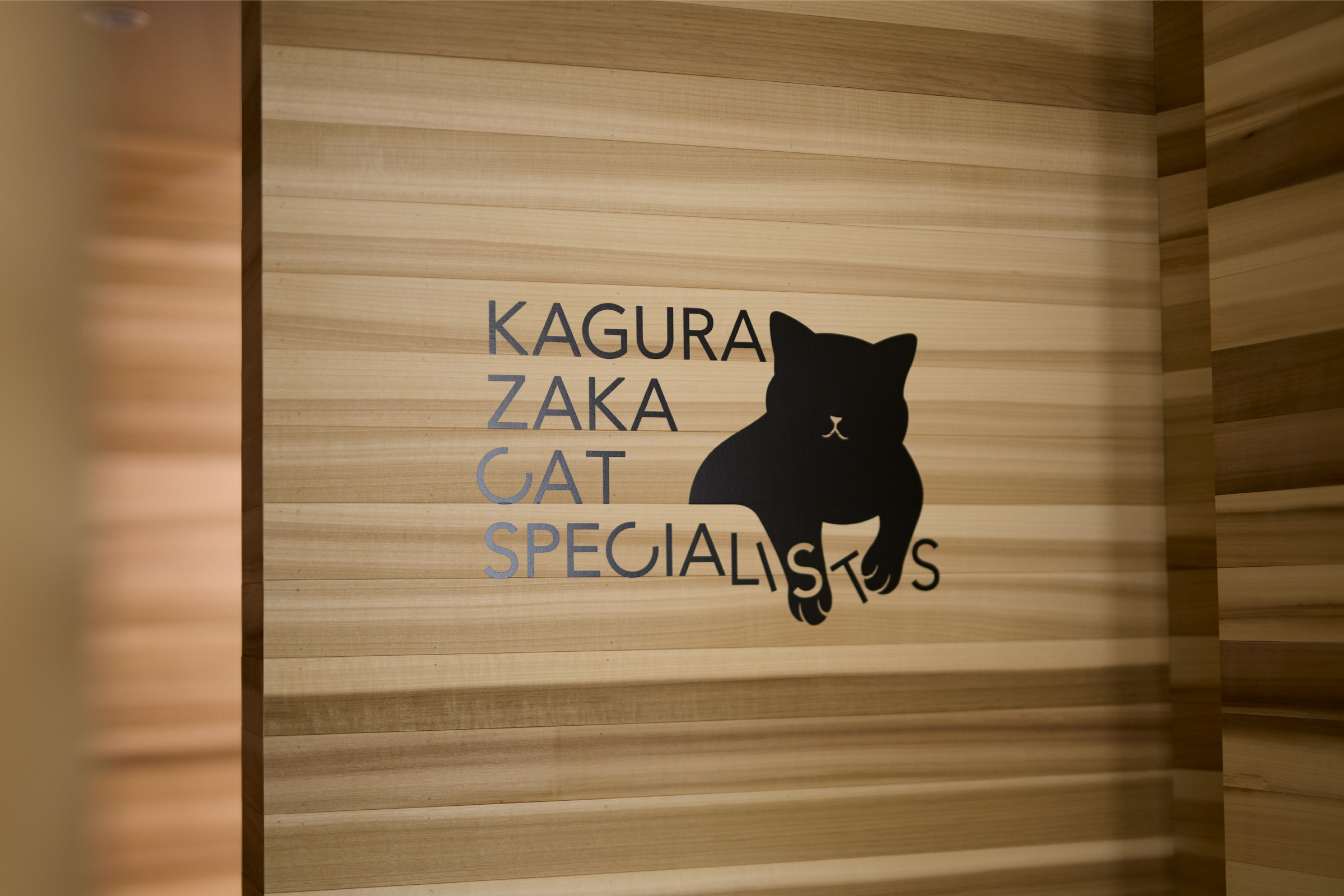猫専門病院 神楽坂 Cat Specialists ブランディング