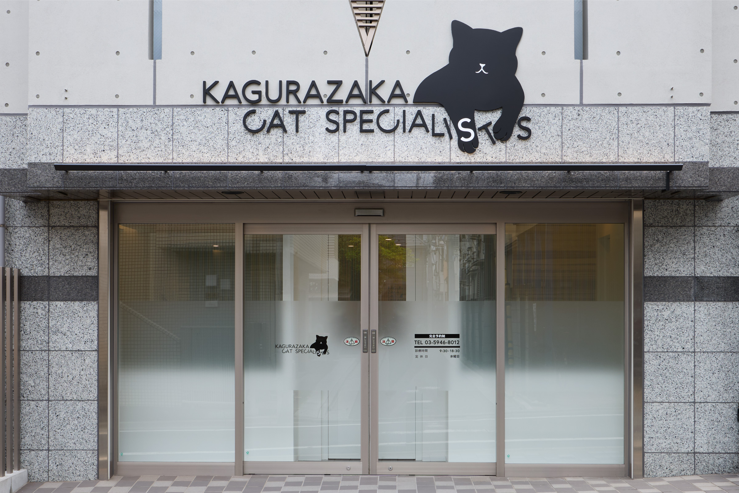 猫専門病院 神楽坂 Cat Specialists ブランディング
