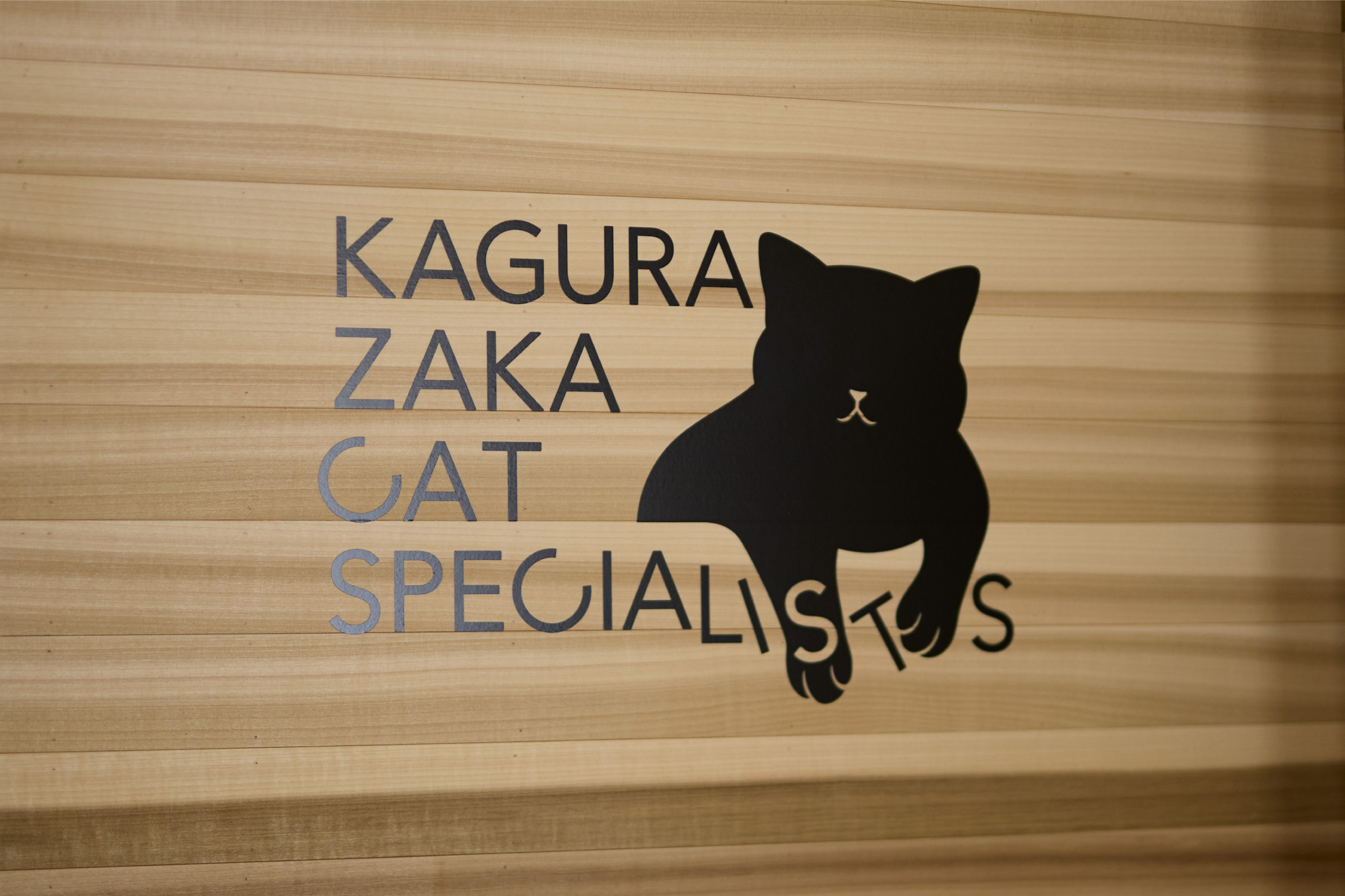 猫専門病院 神楽坂 Cat Specialists ブランディング
